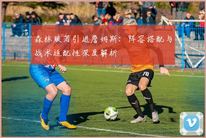 森林狼若引进詹姆斯：阵容搭配与战术适配性深度解析