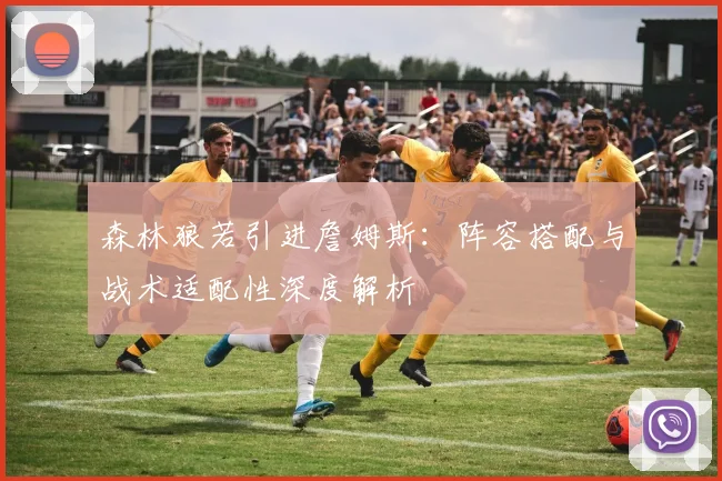 森林狼若引进詹姆斯：阵容搭配与战术适配性深度解析